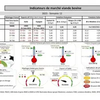 Comme chaque mercredi, voici les indicateurs de marché viande bovine, proposés par la FNB pour faciliter la lecture du marché de la viande bovine par