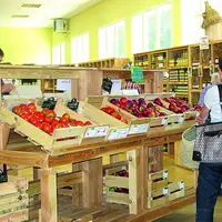 Les linéaires ont pour fonction essentielle de proposer la marchandise aux clients en libre-service, classée par familles. Pour qu’ils remplissent bie