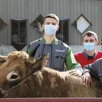  Jeudi 1er avril, Alexis Pignol, Loïc Fabien, Nicolas Lerouvillois et Nathan Solignac, élèves en seconde année de BTS production animale au lycée Terr
