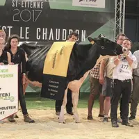 Le point d’orgue du concours national Prim’holstein était vendredi soir avec la désignation de la grande championne du concours. Elle appartient à l’E
