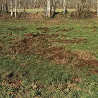 Si une légère baisse des indemnisations dues aux dégâts de gibier en Lozère a été constatée, réjouissant les acteurs intervenant sur le sujet, différe