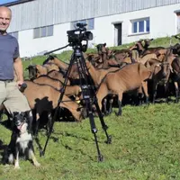 « Si on trouvait un moyen de protection efficace, le loup ne nous dérangerait pas. Mais ce n’est pas le cas », souligne le réalisateur.