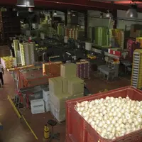 La calibreuse est l’outil principal d’Origine Cévennes. À elle seule, la coopérative fédère 90 % des producteurs et commercialise 80 % de la productio