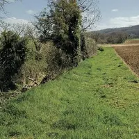 La largeur minimum de la bande tampon est de 5 mètres, elle peut être composé d’un couvert herbacé, arbustif ou arboré.
