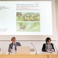 Marc Fesneau a présenté, le 19 décembre, une version mise à jour du plan de prévention contre la peste porcine africaine (PPA), lancé début 2022. Prin