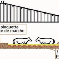Schéma simplifié d'utilisation de plaquettes dans une stabulation à aire paillée.