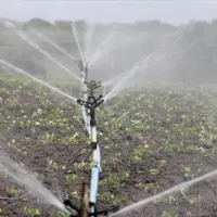 L’autorisation pluriannuelle de prélèvement pour l’irrigation par aspersion arrive à échéance en 2019.