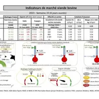 Comme chaque mercredi, voici les indicateurs de marché viande bovine, proposés par la FNB pour faciliter la lecture du marché de la viande bovine par