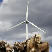 Cap’2ER est un outil permettant d’évaluer les impacts environnementaux à l’échelle d’une exploitation.