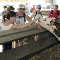 L’agritourisme fait partie des catégories récompensées par le Défi terroirs.
