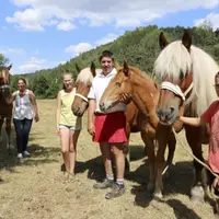 De gauche à droite : Isabelle, Laurine, Dominique et Mathieu avec leurs juments.