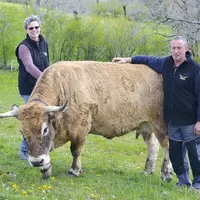 Corinne et Jean-Philippe Delbor, éleveurs à Argences-en-Aubrac, sont
fidèles à l’association BFA depuis ses débuts il y a 20 ans.