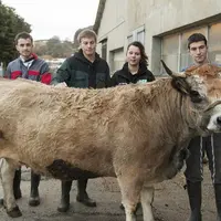 À l'occasion du Salon de l'agriculture 2022, qui se tiendra du 26 février au 6 mars, au parc des expositions de la porte de Versailles de Paris, focus