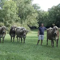 L’Aveyron est le deuxième département français en nombre de vaches Brunes. Une fierté pour tous les éleveurs de Brune Aveyron présidés par Clément Cha