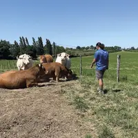 Les JA Aura s’inquiètent de l’avenir de l’installation en filière bovin viande.