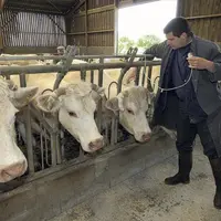 La FCO était déjà présente en France sous deux autres formes (sérotypes 8 et 1) depuis près de dix ans. Mais la découverte de ce nouveau cas modifie l