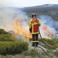 Autour de Finiels, mercredi 3 mars, les jours précédents et toute la fin de semaine, de drôles d'engins se sont baladés sur les chemins forestiers aut