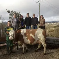 Thibault, Clément, Laurie, Bastien, Nathan et Malaurie (et la vache Florida, rebaptisée Marguerite pour l’occasion) représenteront le lycée François-R