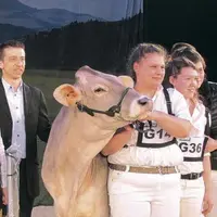 Les filles de Langres ont remporté la compétition.
