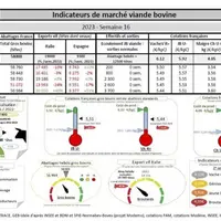Comme chaque mercredi, voici les indicateurs de marché viande bovine, proposés par la FNB pour faciliter la lecture du marché de la viande bovine par