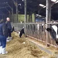 Une réunion d'information a été organisée par la FRSEA Occitanie lundi 15 décembre à Marvejols. Au menu pour la douzaine d'éleveurs inscrits à la jour