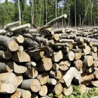 Depuis l’arrêté du 5 juillet 2022 pris par la préfecture de Lozère, le défrichement agricole est désormais soumis à un prix compensatoire de 1 800 eur