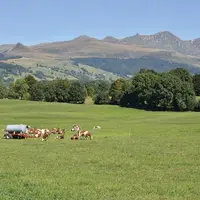 Le Massif central défend le principe d'une aide pour les producteurs laitiers de montagne différenciée.