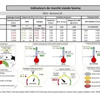 Comme chaque mercredi, voici les indicateurs de marché viande bovine, proposés par la FNB pour faciliter la lecture du marché de la viande bovine par