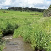 Le 2 février 1971, il y a cinquante ans déjà, 157 pays ont signé une convention internationale sur les zones humides à Ramsar en Iran. Depuis, cette d