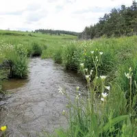 Durant les mois de septembre et octobre, le Copage a organisé des journées techniques sur le thème des zones humide en Lozère, en partenariat avec la