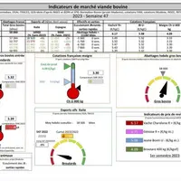 Chaque mercredi, les indicateurs de marché viande bovine, proposés par la FNB pour faciliter la lecture du marché de la viande bovine par les éleveurs