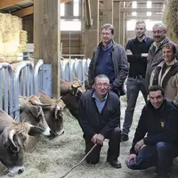 Sécurité et rapidité dans le tri des animaux : ces deux raisons ont poussé les associés du Gaec Pélissier à s'équiper d'un corral de contention.