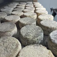 Les Artisous sont les acariens artisans de l’affinage du fromage fermier issu des fermes de Haute-Loire.