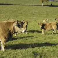 Deux critères ont été proposés par les services du ministère de l'Agriculture pour définir en France le statut d'agriculteur actif (ou véritable), qui