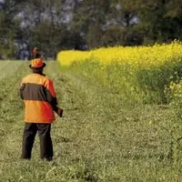 Si le premier confinement n'avait pas impacté la chasse, notamment en Lozère puisqu'elle n'était pas encore ouverte, ce deuxième confinement a donné l
