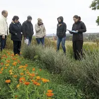  En Margeride, deux agricultrices mènent des essais de culture de plantes médicinales et aromatiques avec l’entreprise Crodarom et souhaitent se dirig