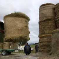 Cent tonnes de fourrage lozérien vont bénéficier au cheptel cantalien.