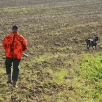 Port obligatoire d’une tenue vestimentaire orange fluo pour la chasse.