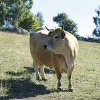 Créée par Terre de Liens et l’Inrae, la base de données « Récolte » recense les différentes initiatives d’installations agricoles réalisées par des co