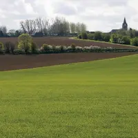 À l'occasion de l'examen du projet de loi de finances, l'exécutif a fait voter un amendement débloquant 60 millions d'euros en fonds propres dès 2022
