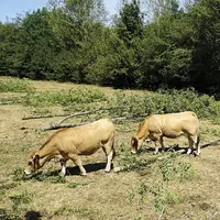 Mardi 6 septembre, le PNR Aubrac et la chambre d'agriculture de l'Aveyron ont organisé une journée de démonstration des opportunités offertes par le f