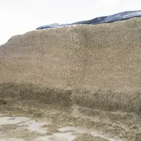 L'ensilage d'herbe pour une bonne récolte.