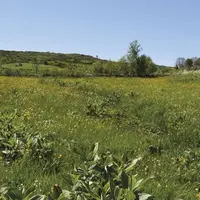 Alors que la mise en œuvre de la convention collective nationale (CCN) pour la production agricole et les Cuma devrait s’opérer au 1er avril 2021, foc