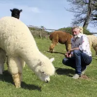Ancien architecte en Belgique, François-Xavier Barbieux a concrétisé son rêve de gosse à La Paneterie, en Corrèze : élever des animaux pour leur laine