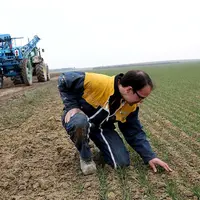 Le ministère de l'Agriculture a récemment assoupli la définition de l'agriculteur actif dans les SCEA, au grand dam de la Confédération paysanne. La m