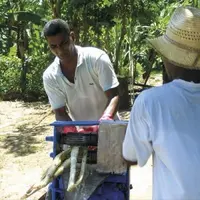 Entre un embargo américain qui dure depuis cinquante-huit ans et un modèle agricole centralisé et bureaucratisé, l'île de Cuba peine à nourrir sa popu