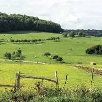 Le ministère de l'Agriculture a fait paraître le nouveau régime de sanctions pour non-respect de la conditionnalité de la Pac. Au préalable, elle avai