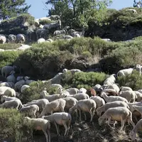 Le Civam Empreinte, créé en 2007, est l’un des neuf réseaux d’agriculteurs sélectionné suite à l’appel à projet lancé par la Fondation Daniel et Nina
