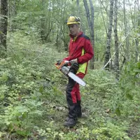 Abattre un arbre nécessite de connaître parfaitement les positions de sécurité et d’être bien équipé. Un équipement complet revient entre 200 et 450 e