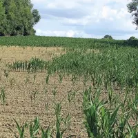 La France pourrait connaître de nombreuses restrictions d’eau dès le mois de mars, après un record de 32 jours sans pluie et un hiver très sec. Un pla